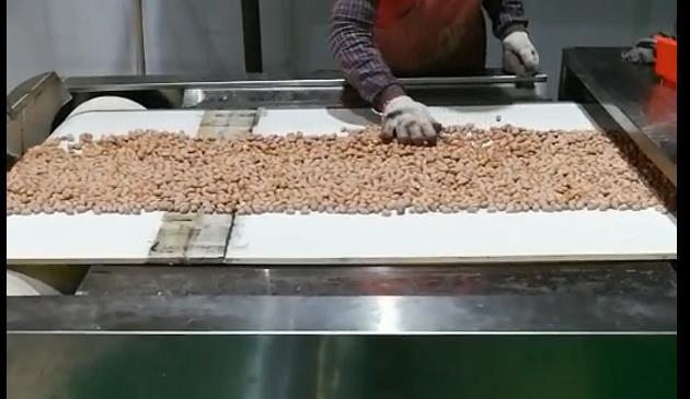 花生干燥設備視頻